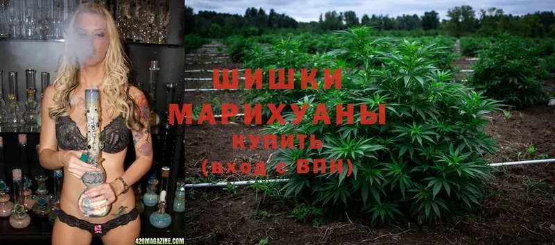 мориарти состав  mega как зайти  Кизел  МАРИХУАНА SATIVA & INDICA 